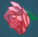 Bodhi Blossom